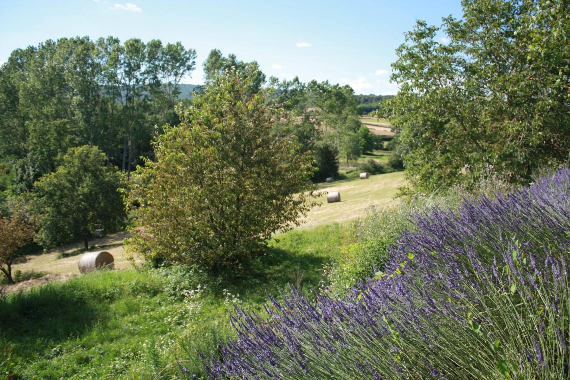 La Maison De La Colline Vers  Εξωτερικό φωτογραφία
